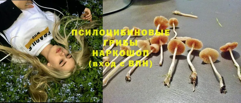 Галлюциногенные грибы MAGIC MUSHROOMS Карабулак